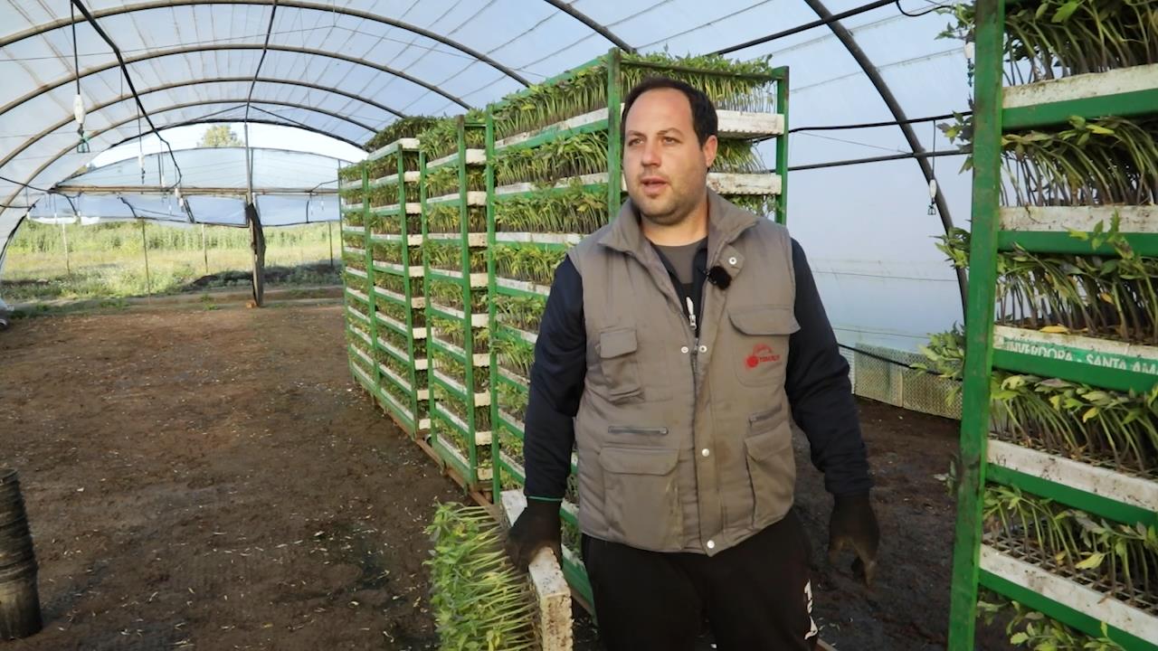 Elaborar los propios plantones, una de las claves para rentabilizar el